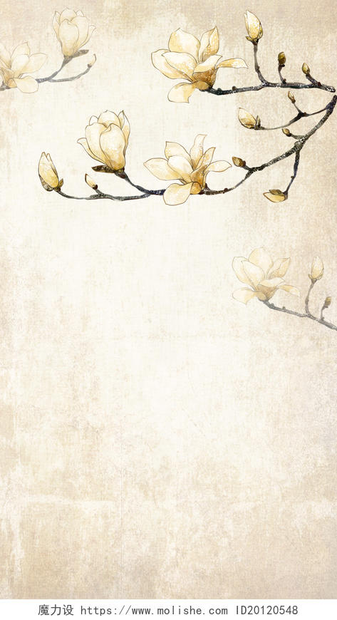 中国风玉兰花枝质感古典古风H5背景素材